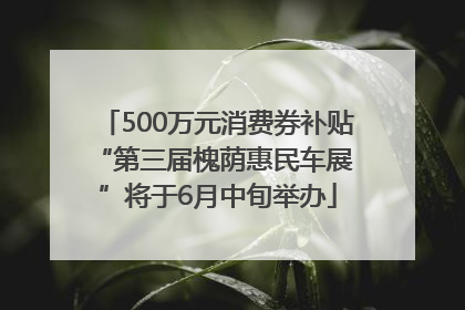 500万元消费券补贴 “第三届槐荫惠民车展”将于6月中旬举办